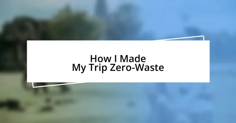 How I Made My Trip Zero-Waste