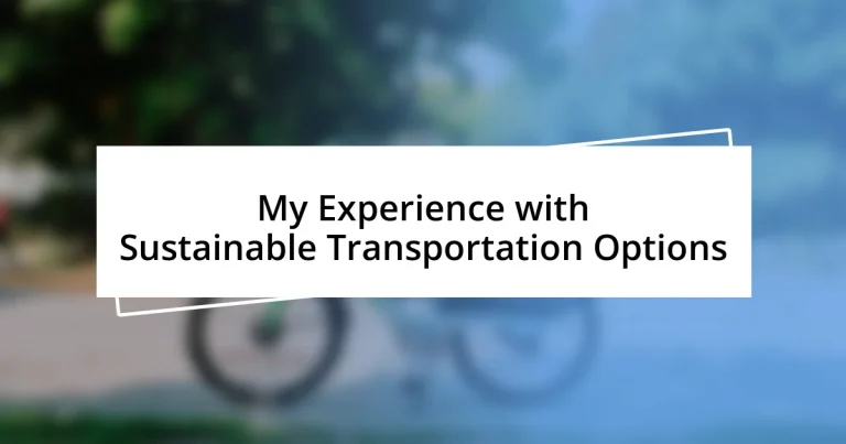 My Experience with Sustainable Transportation Options