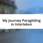 My Journey Paragliding in Interlaken