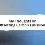 My Thoughts on Offsetting Carbon Emissions