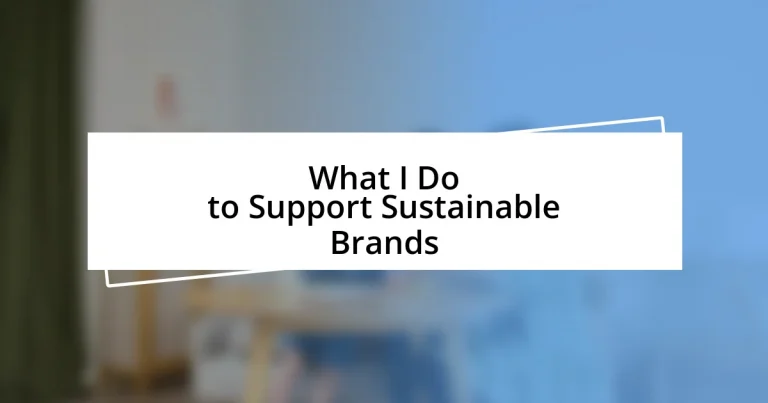 What I Do to Support Sustainable Brands