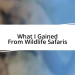 What I Gained From Wildlife Safaris