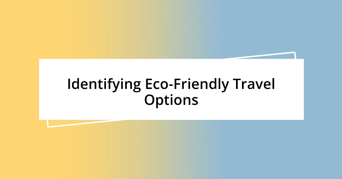 Identifying Eco-Friendly Travel Options