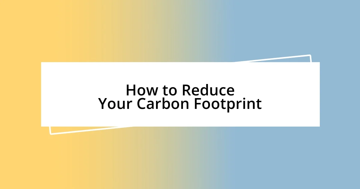 How to Reduce Your Carbon Footprint