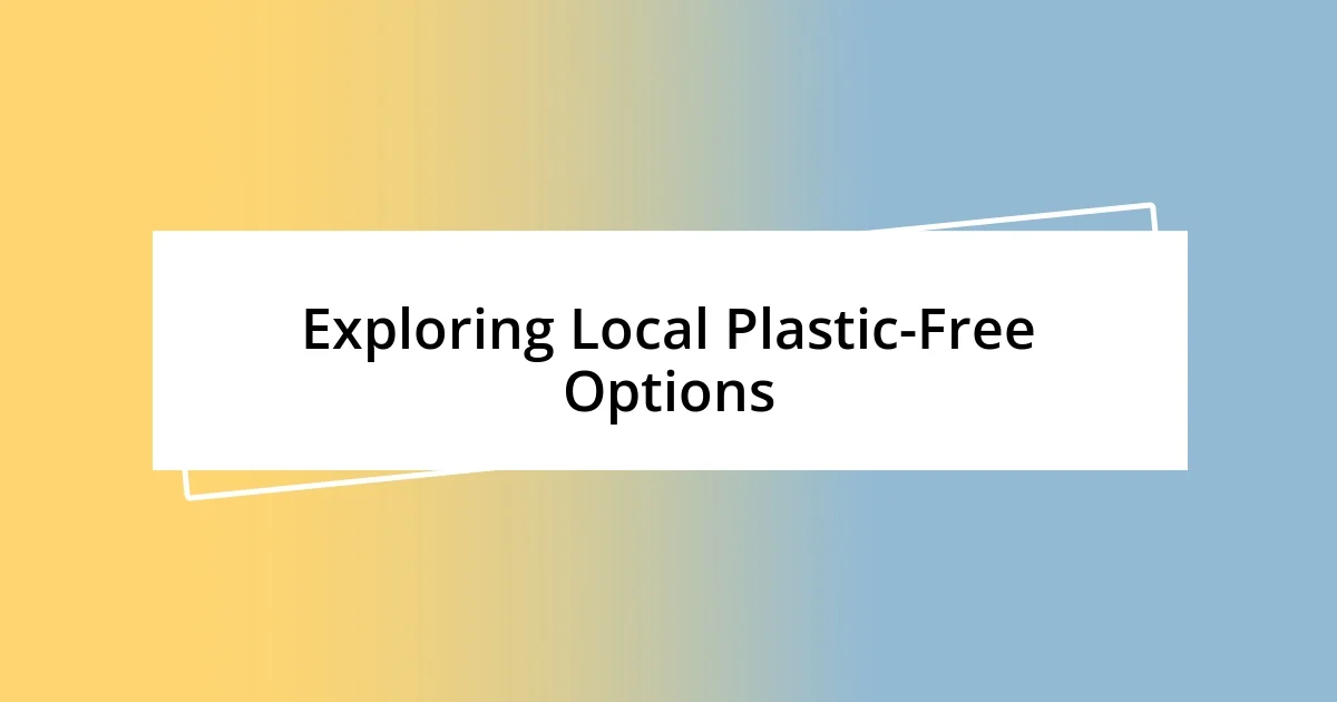 Exploring Local Plastic-Free Options