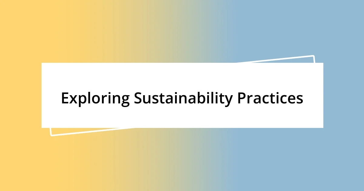 Exploring Sustainability Practices