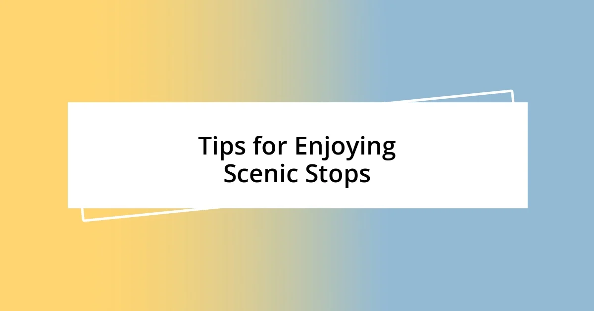 Tips for Enjoying Scenic Stops