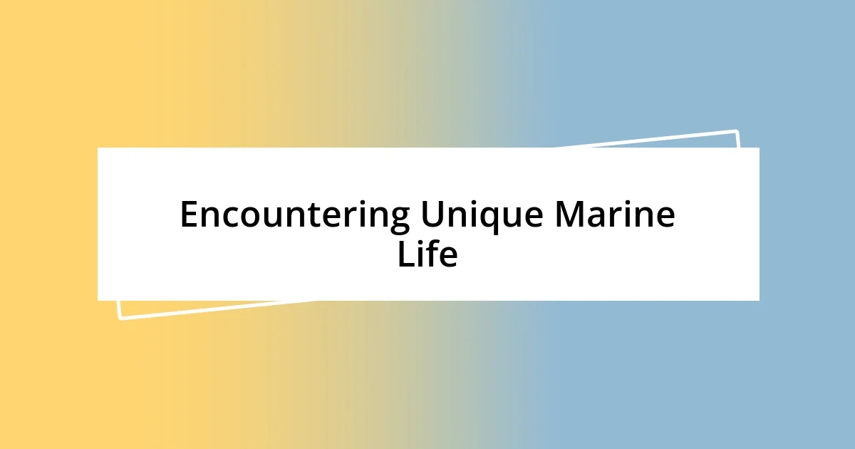 Encountering Unique Marine Life