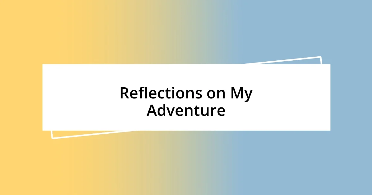 Reflections on My Adventure