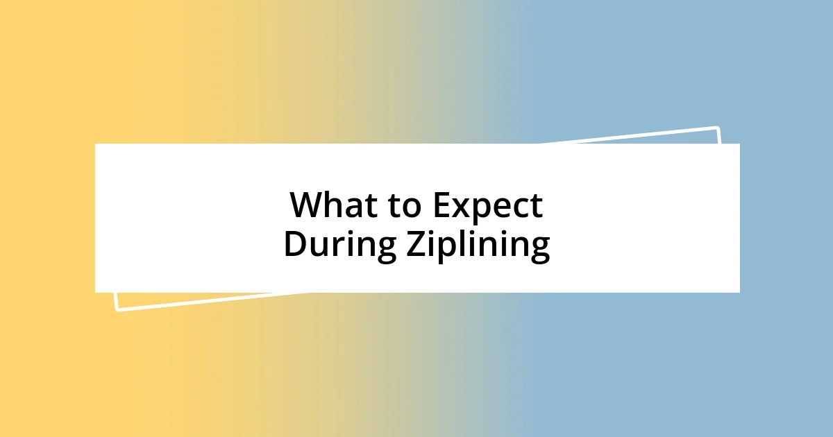 What to Expect During Ziplining