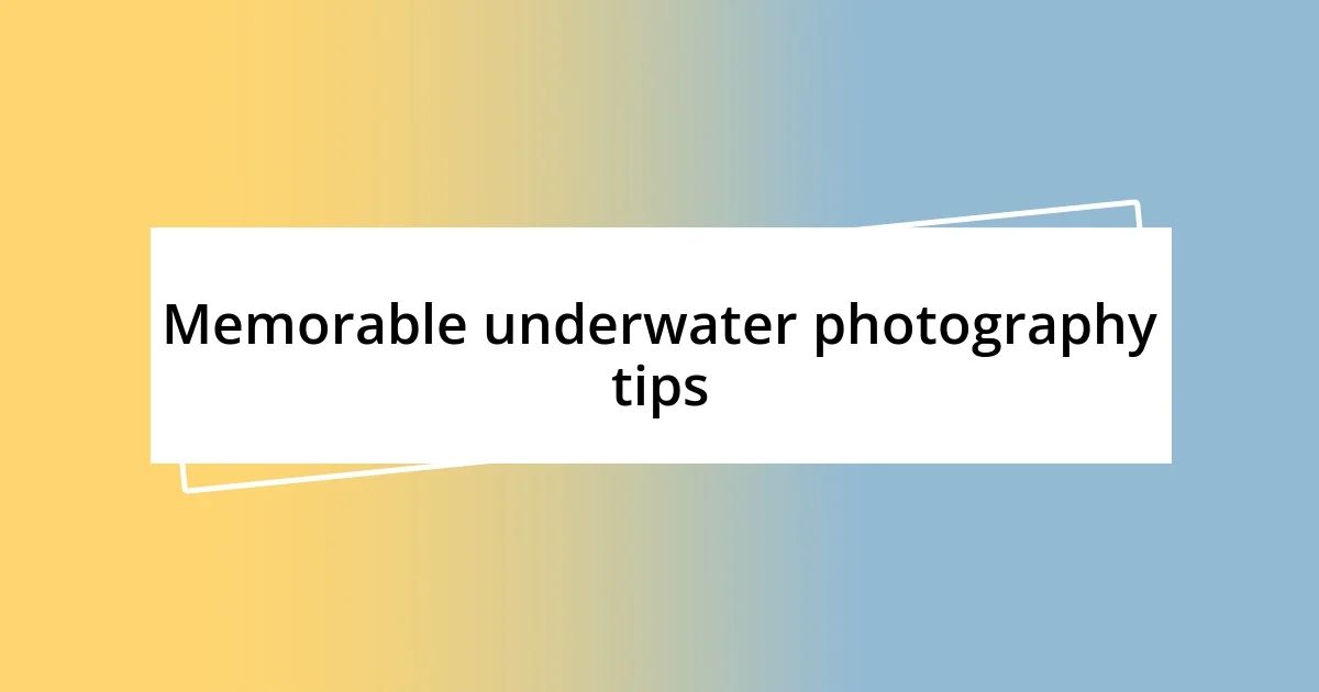 Memorable underwater photography tips