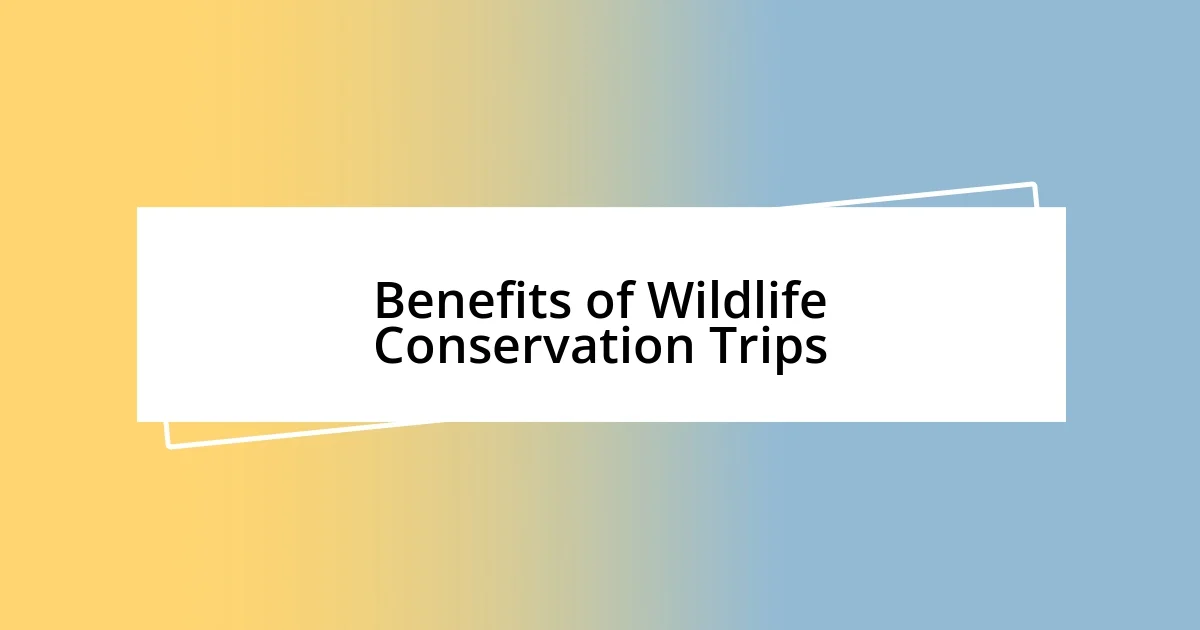 Benefits of Wildlife Conservation Trips