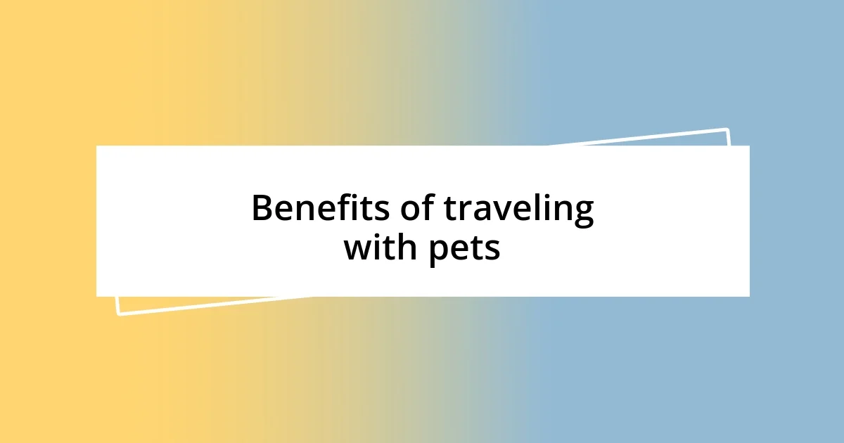 Benefits of traveling with pets