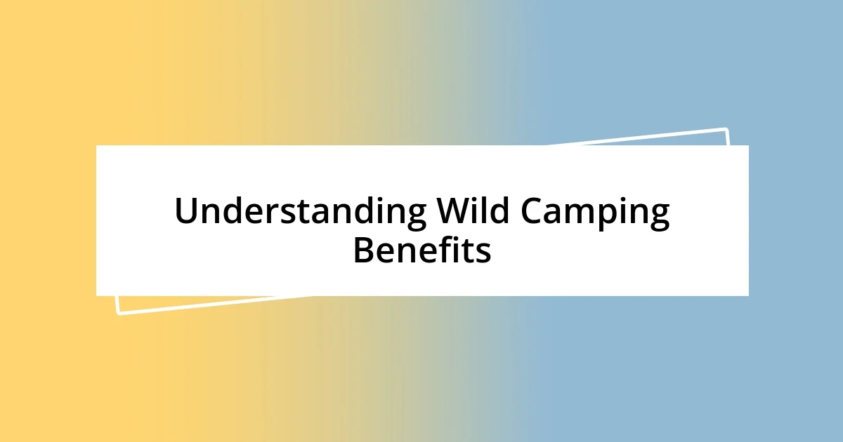 Understanding Wild Camping Benefits