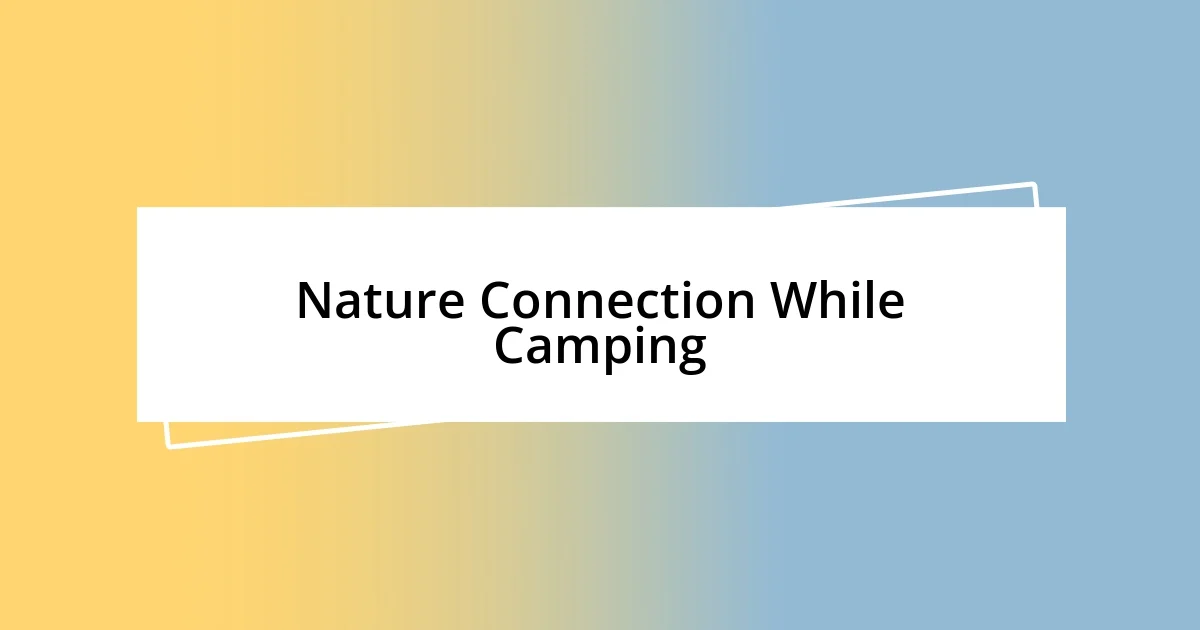 Nature Connection While Camping