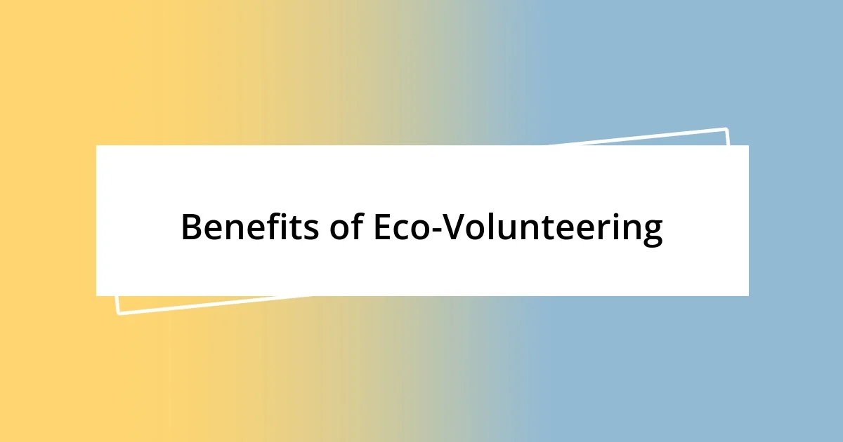 Benefits of Eco-Volunteering