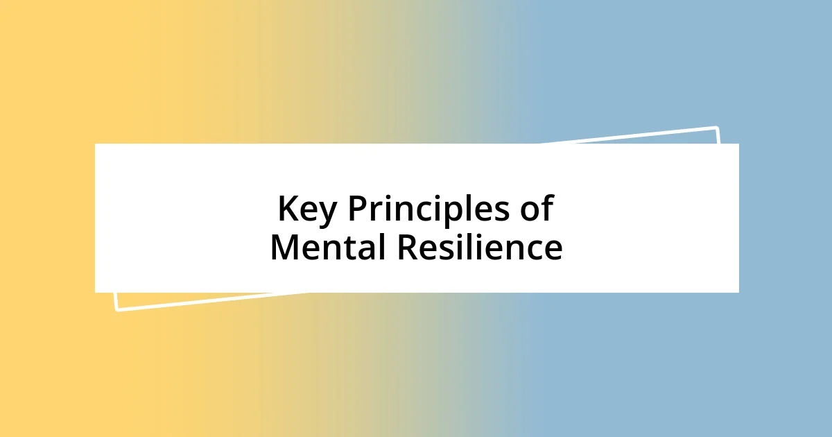 Key Principles of Mental Resilience