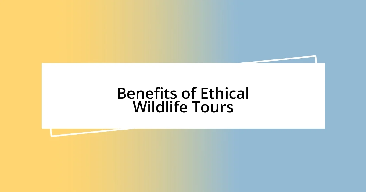 Benefits of Ethical Wildlife Tours